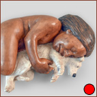Companion